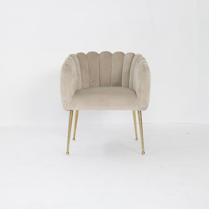 Chaises sans bras européennes de salle à manger de velours de jambes d'acier inoxydable 0
