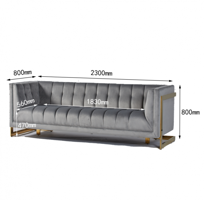 Le tissu de velours a orné le salon moderne Sofa With Hallow Metal Legs 3