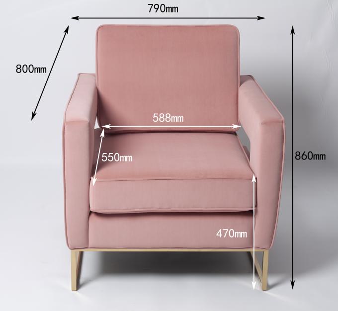 Cadre moderne de Pale Pink Sofa With Metal de velours de meubles de salon 0